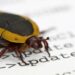 ETH news: Ethereum Foundation says AI found bug that could take validators offline