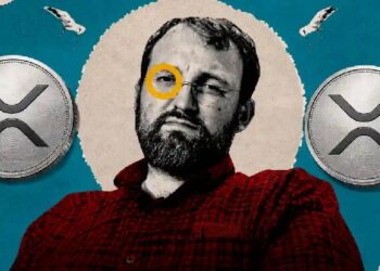 Charles Hoskinson Says Crypto Needs 3-6 More Months, Names Ripple as a Key Player