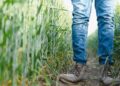 The ripple effects of farming injuries