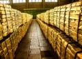 Why Are Central Banks Buying So Much Gold? 90% Institutions Cite This Reason