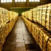Why Are Central Banks Buying So Much Gold? 90% Institutions Cite This Reason