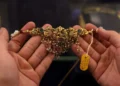 Gold discounts in India deepen as volatility hurts demand; purchases in China steady
