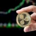 XRP Just Flashed Its First Buy Signal Since Mid-June. Will the XRP Price Rally?