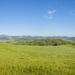 The Changing Landscape of Commodity ETFs
