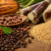 Soft commodities rebound as weather risks and supply fears return