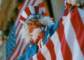 investingLive Americas market news wrap: US dollar slides as non-farm payrolls miss
